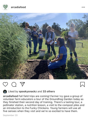 Arcadia volunteer training for farm educator learning about compost, chickens, bees, garden veggies