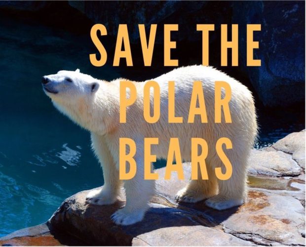 Save the polar bears from climate change 