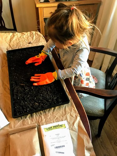 Kids planting seeds for growing vegetables indoors without sunlight