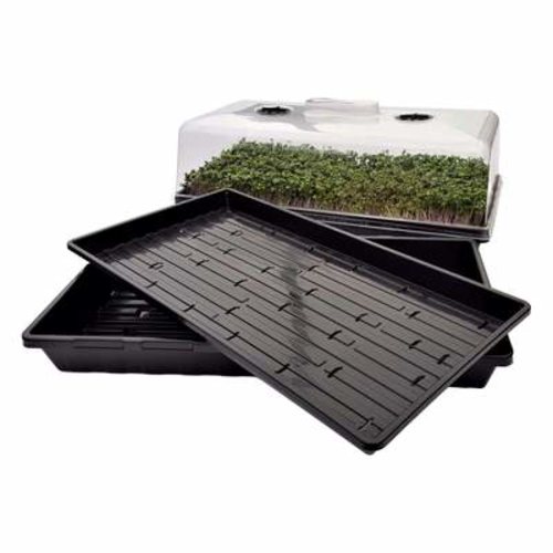 Microgreen tray for vegetables and herbs