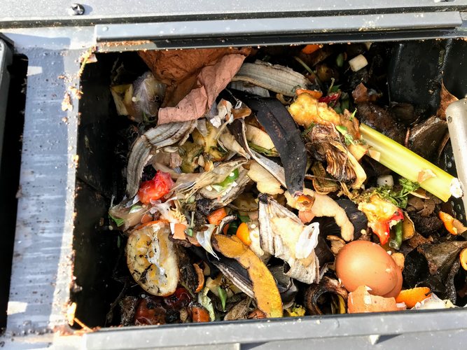 home compost food scraps