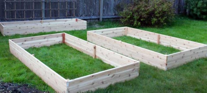 DIY raised beds