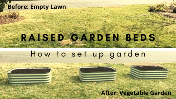 How To Set Up Garden Before and After with Raised Beds