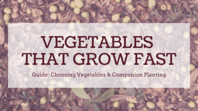 Vegetables that grow fast guide