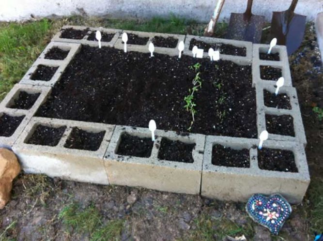 cinder block raised bed