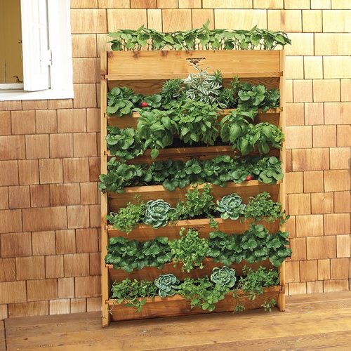 vertical wall garden