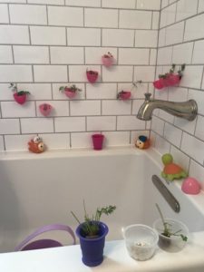 Activities to do at home with toddler Complete Bathtub Indoor Garden