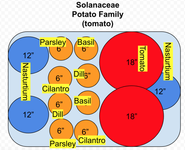 Free Vegetable Planner Template_Solanaceae After