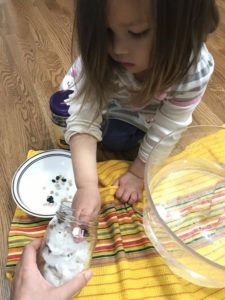 Putting seeds into jar for seed germination