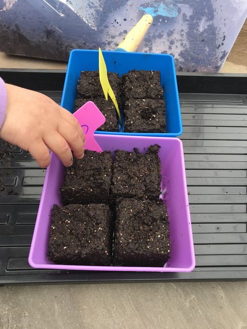 activities to do at home with toddler soil blocker