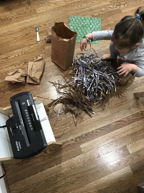 activities to do at home with toddler_shredding paper