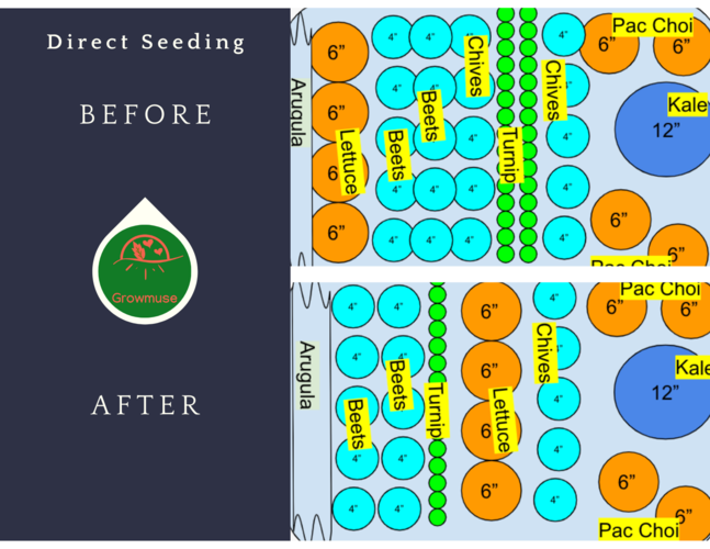 Garden Map Changes Before and After Direct Seeding