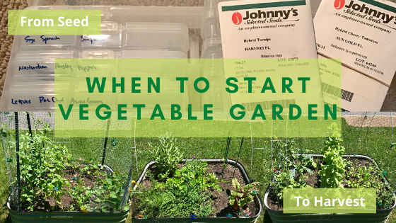 When To Start Vegetable Garden Banner
