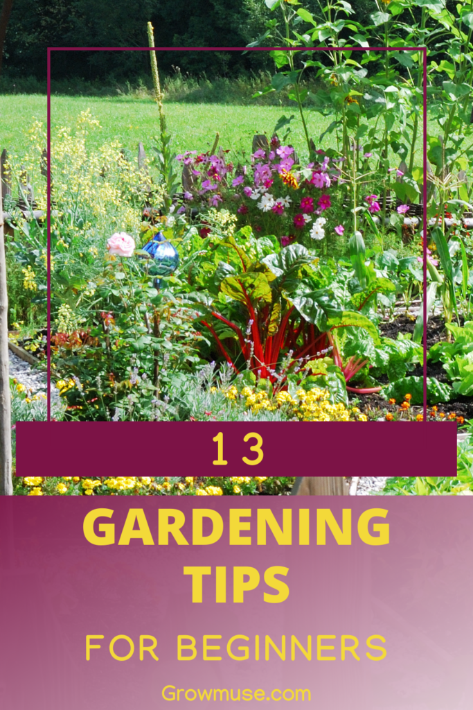 13 Essential Gardening Tips for Beginners