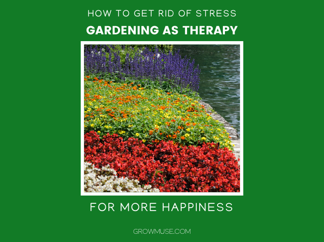 Gardening As Therapy_For More Happiness