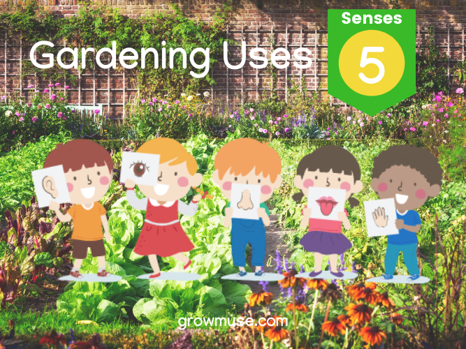 Gardening As Therapy_5 Senses