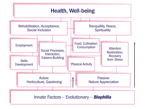 Gardening As Therapy_Chart Health, Well-Being