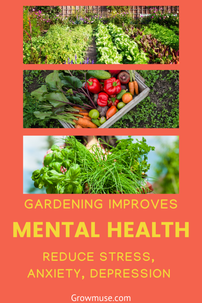 Gardening Tips: Stress Reduction