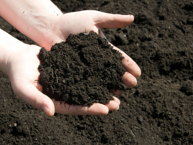 Gardening Tips for Beginners Soil