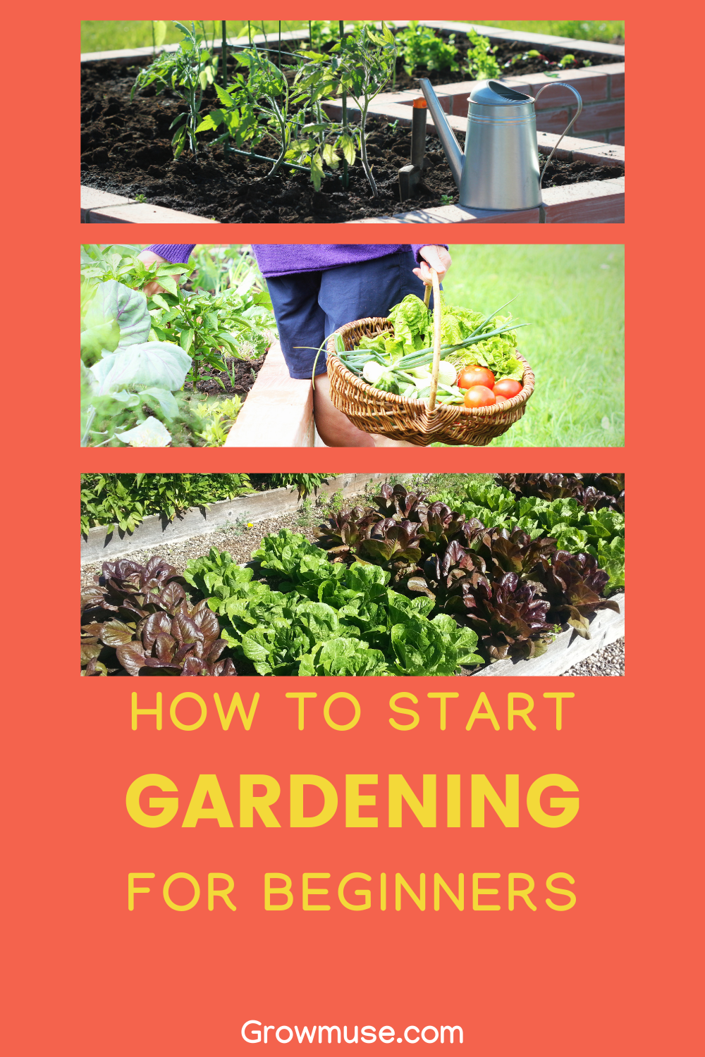 13 Essential Gardening Tips for Beginners Who Want Big Harvests ...