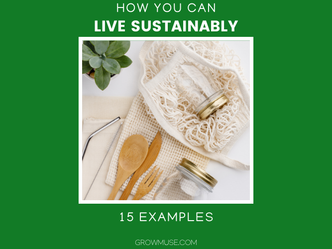 Live Sustainably featured image