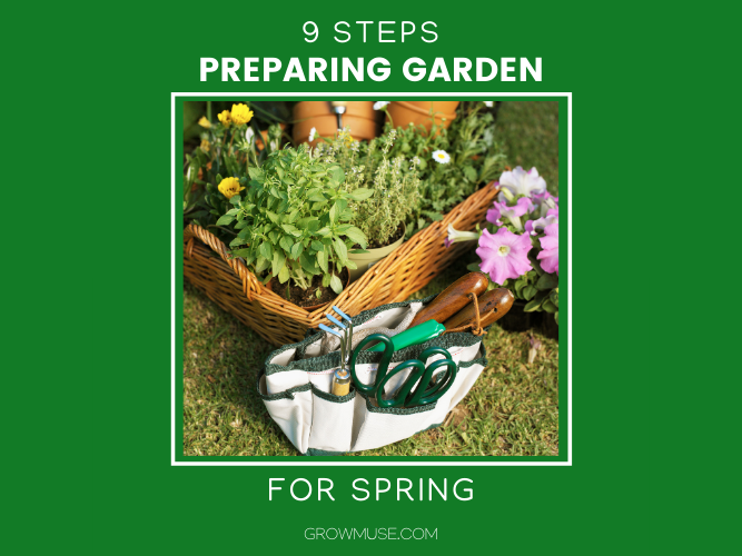 Preparing Garden For Spring Featured Image