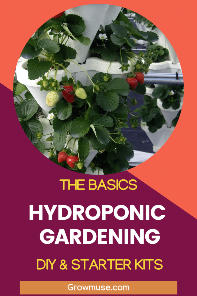 The Basics Hydroponic Gardening Starter Kits