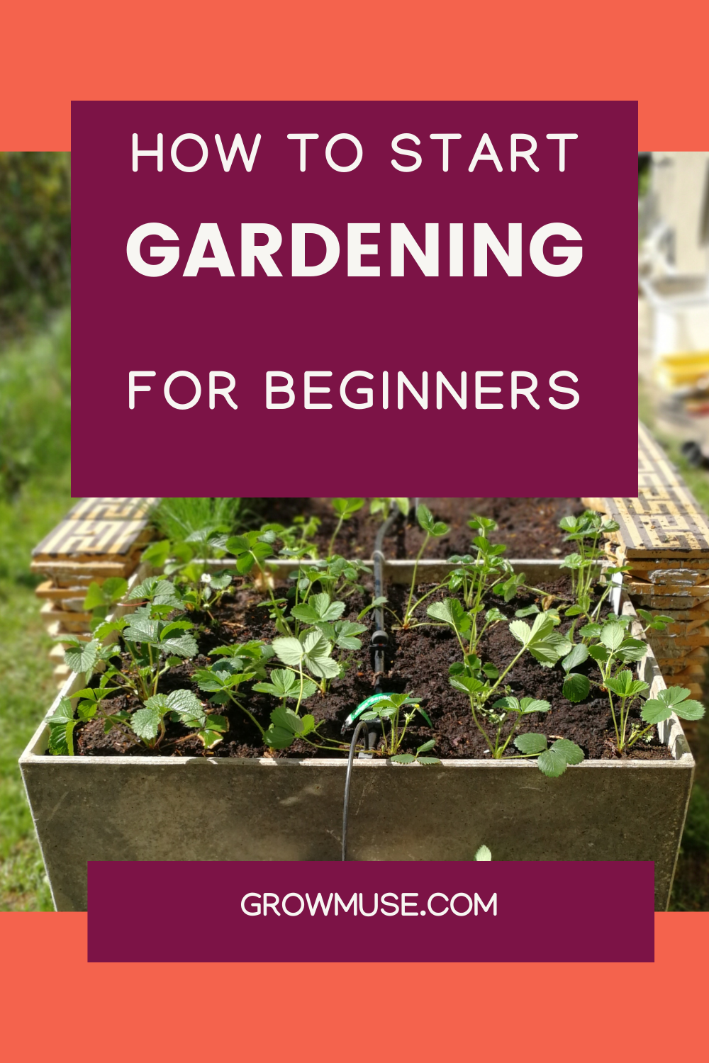 13 Essential Gardening Tips for Beginners Who Want Big Harvests ...