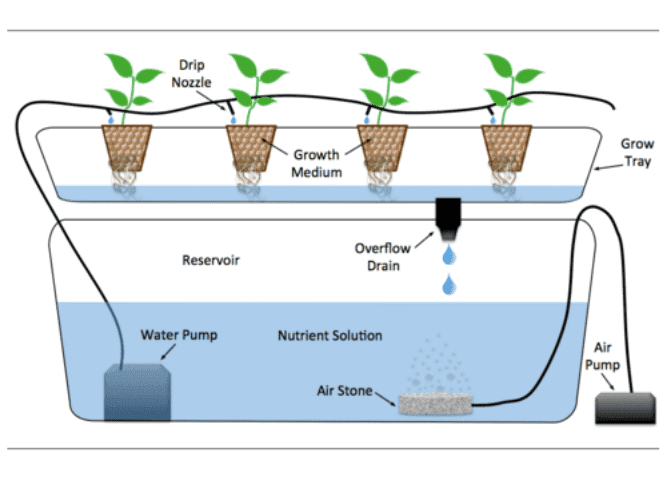 What is Drip System hydroponics