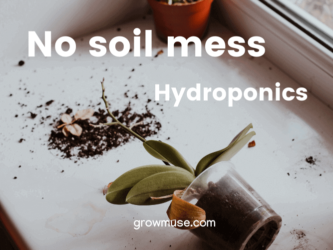 ditch soil what is hydroponics gardening