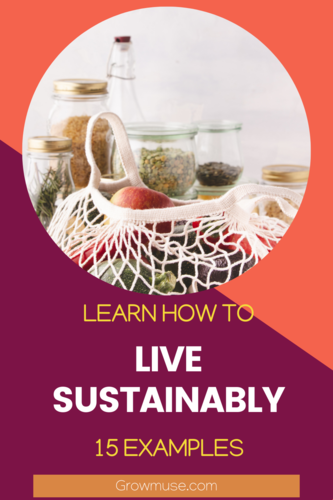 live sustainably buy local