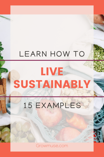 live sustainably with food