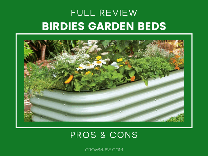 Stop Wasting Time Birdies Garden Beds Are The Best - Growmuse Beginner Gardening Tips For Busy People