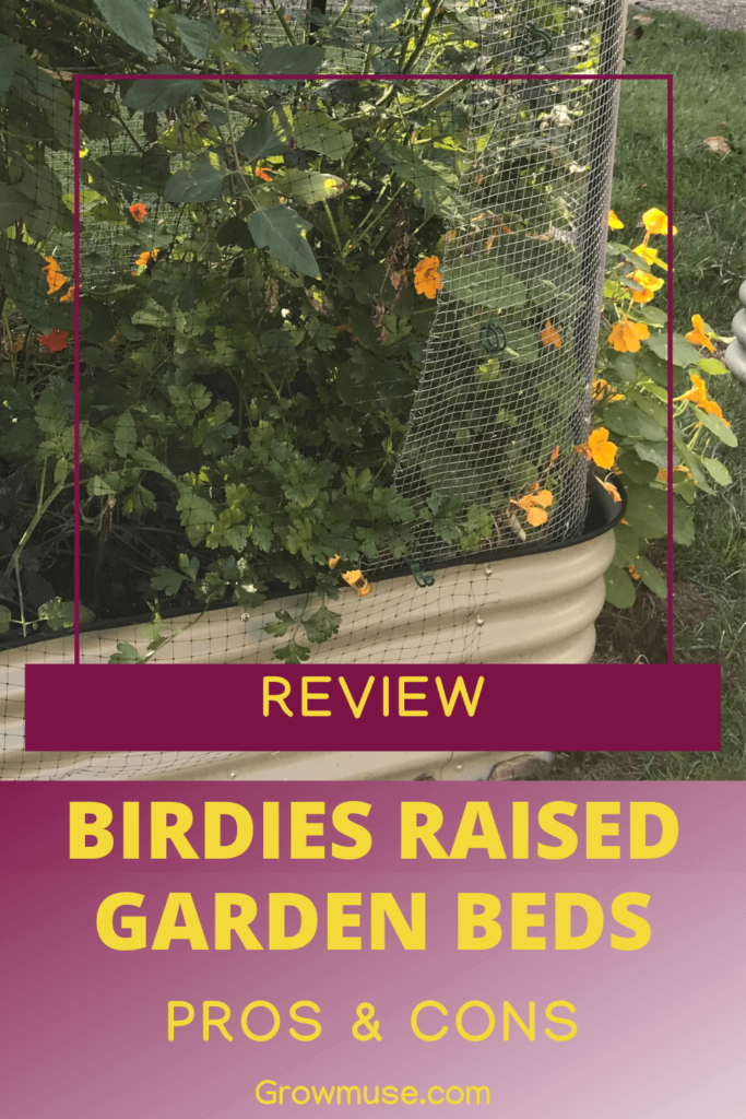 Pin Birdies Raised Garden Beds Pros Cons