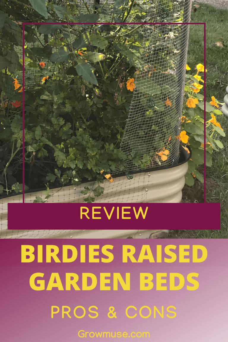 Stop Wasting Time: Birdies Garden Beds Are The Best - Growmuse: Beginner Gardening Tips for Busy